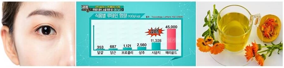 메리골드 효능-눈 건강