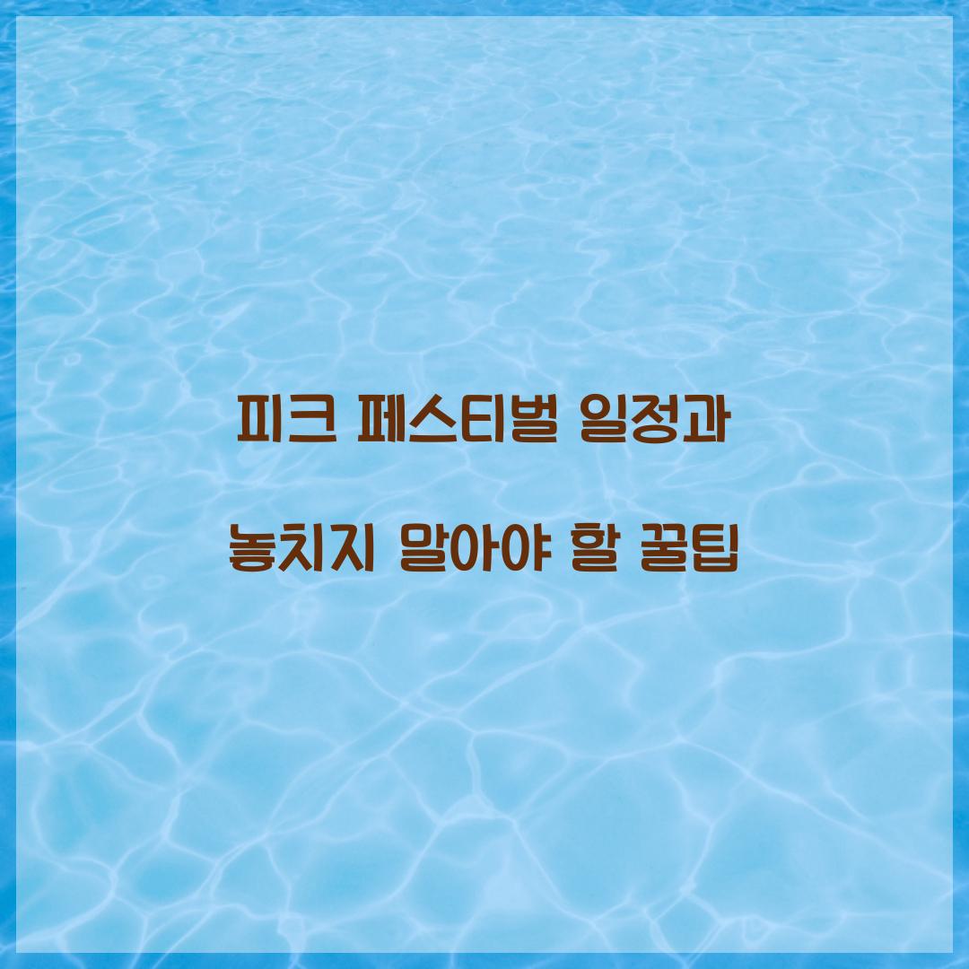 피크 페스티벌 일정