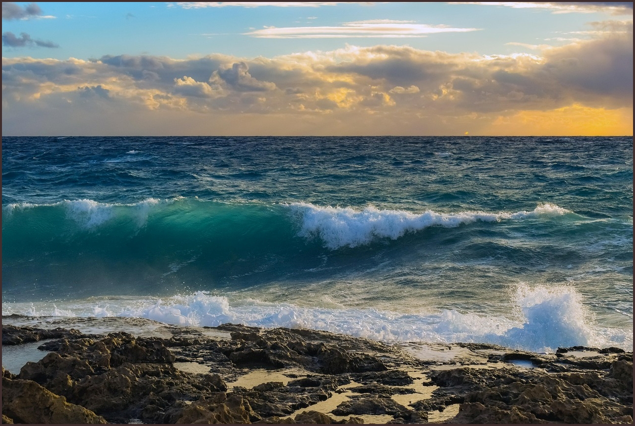 코나 하이브리드 가격