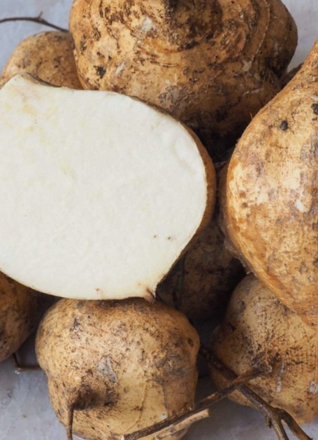 히카마 가격 시세