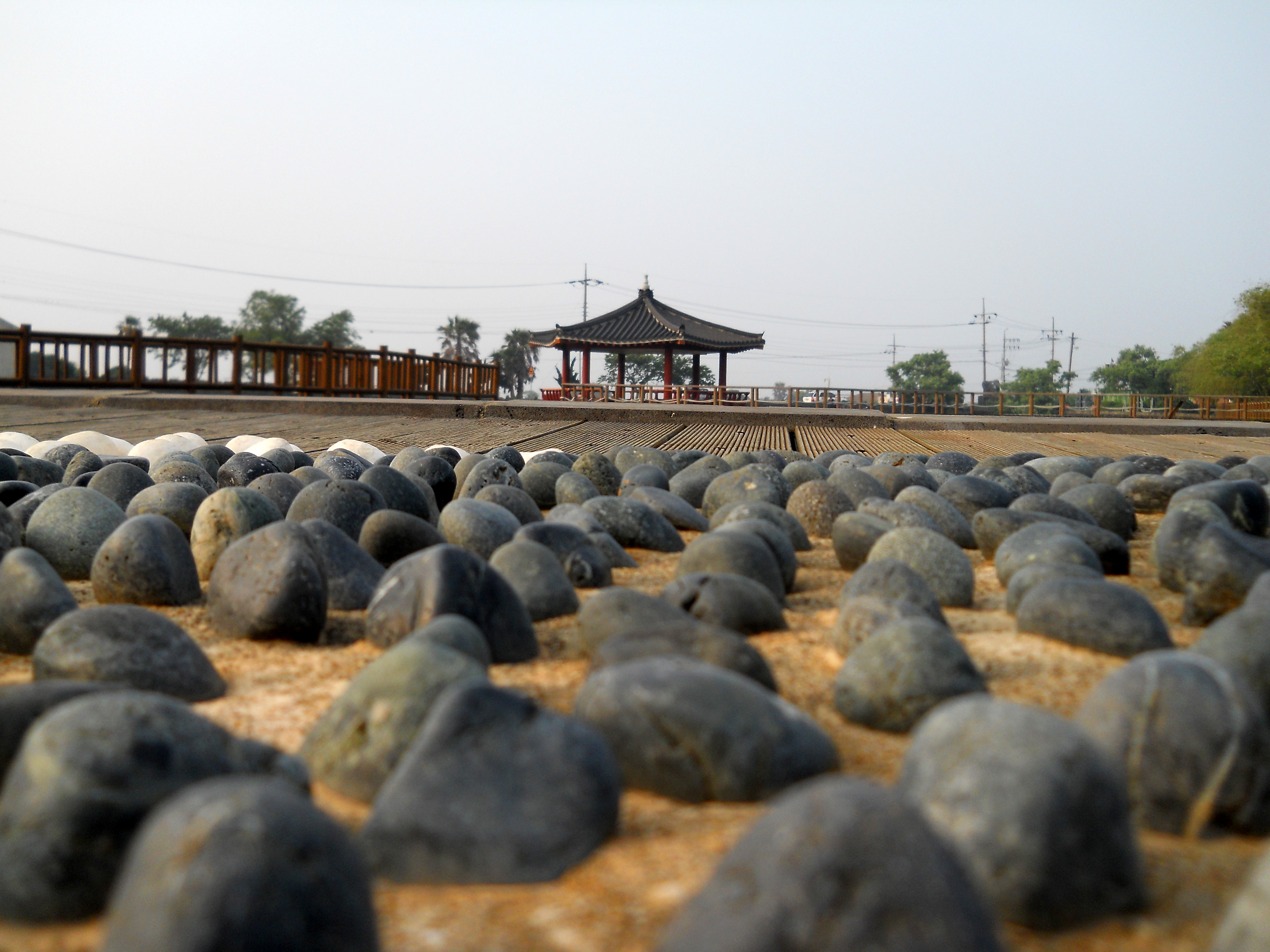 제주 연화지