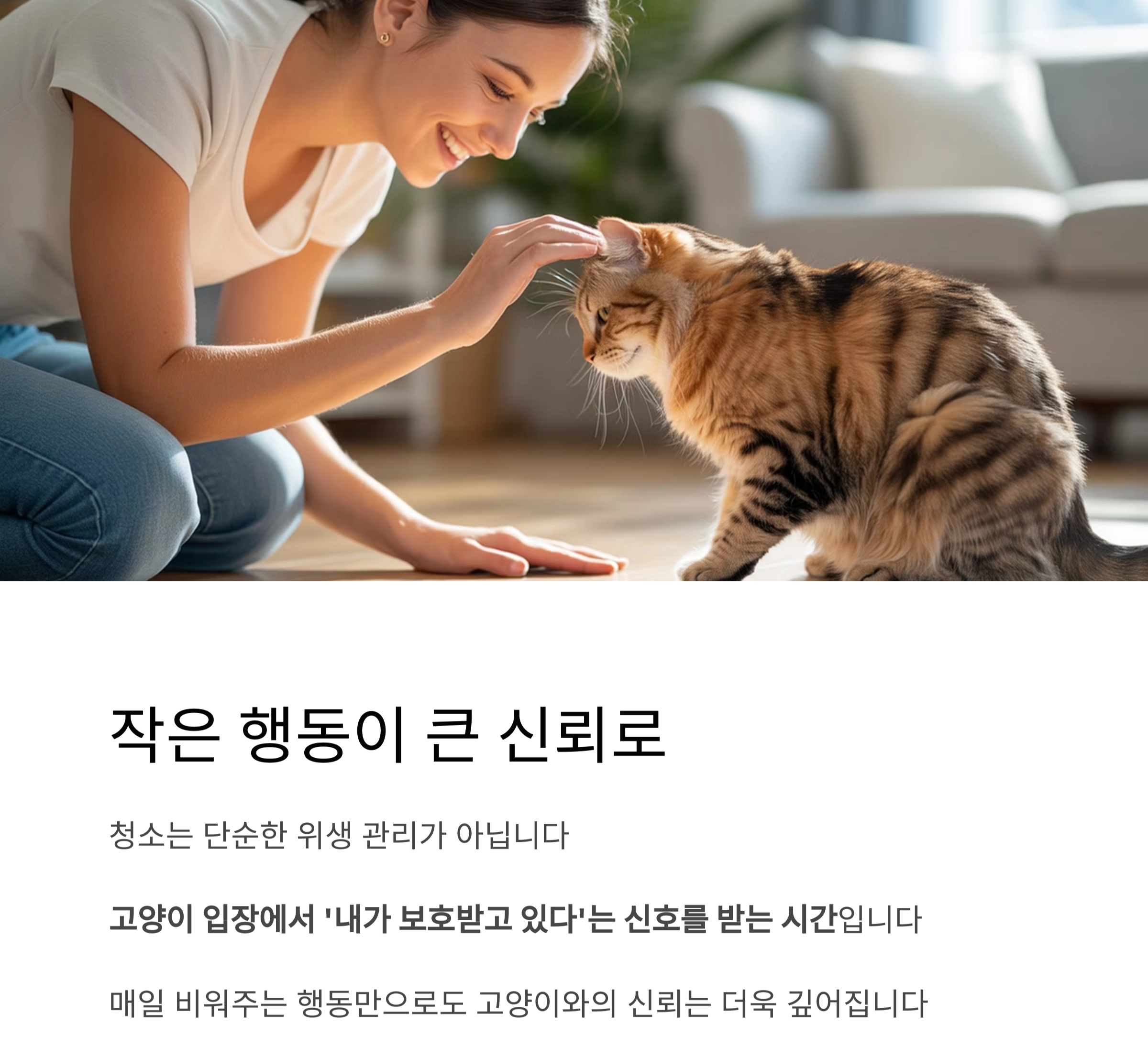 고양이 화장실, 매일 청소가 필요한 진짜 이유