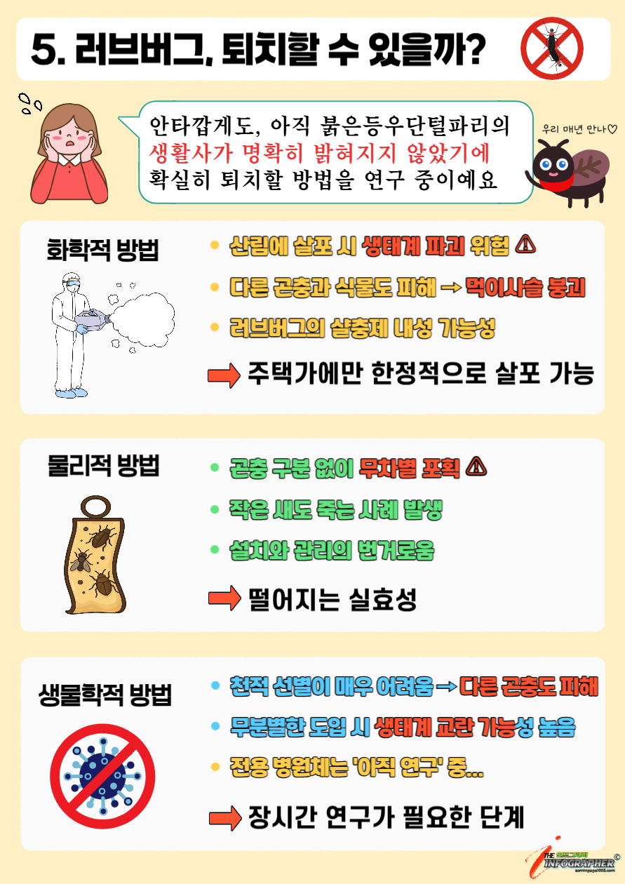 &quot;그들은 돌아온다&quot; 한여름의 검은 불청객, 러브버그의 모든 것(급증 원인 / 천적 / 퇴치 / 실생활 대처법)
