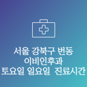 서울 강북구 번동 이비인후과 주말 토요일 일요일 문여는 병원 진료시간