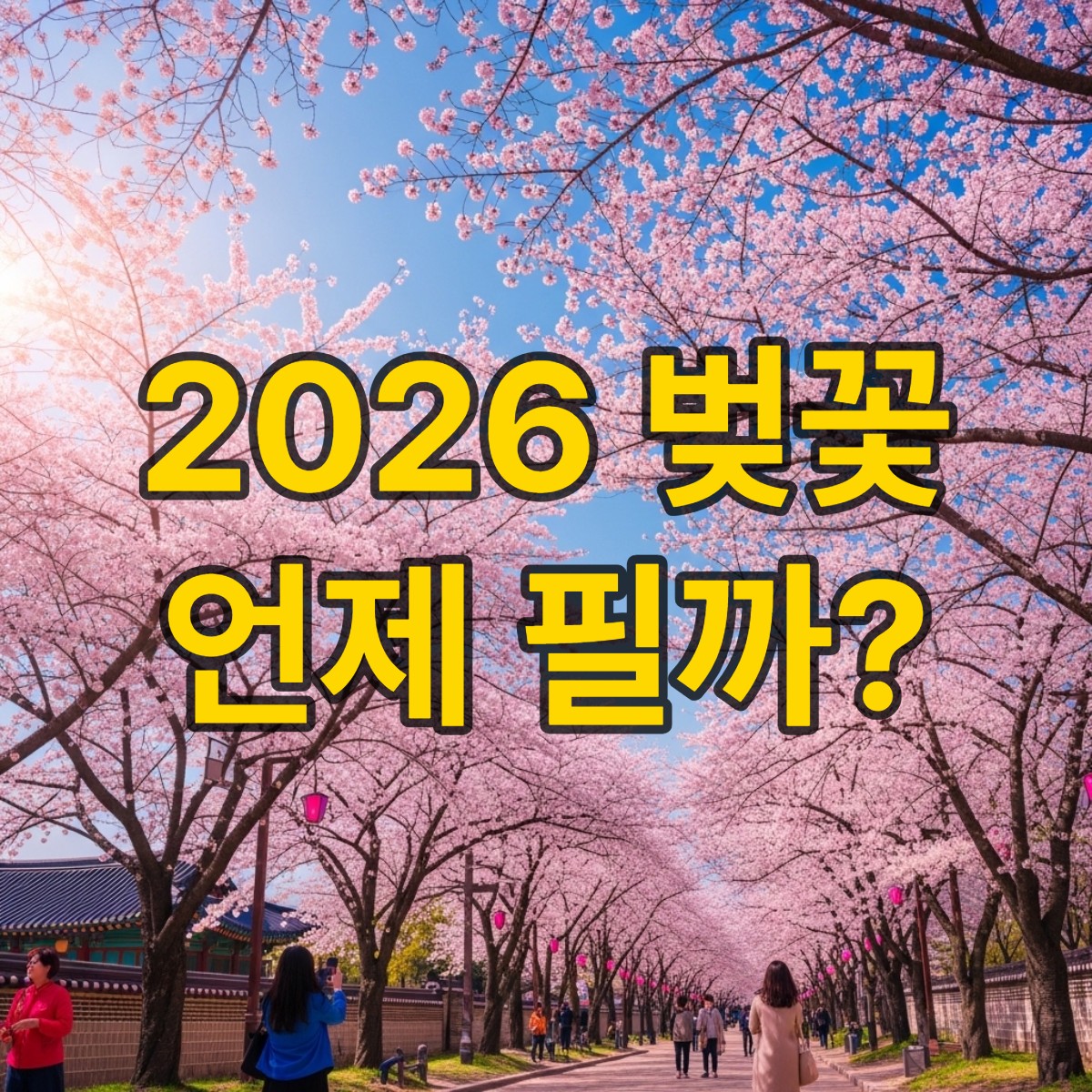 벚꽃 피는 시기