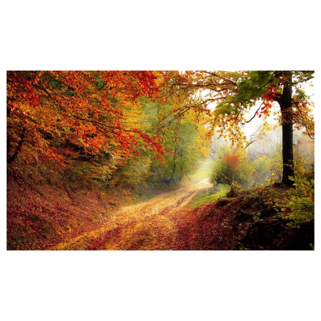 여주와 관련된 사진입니다.