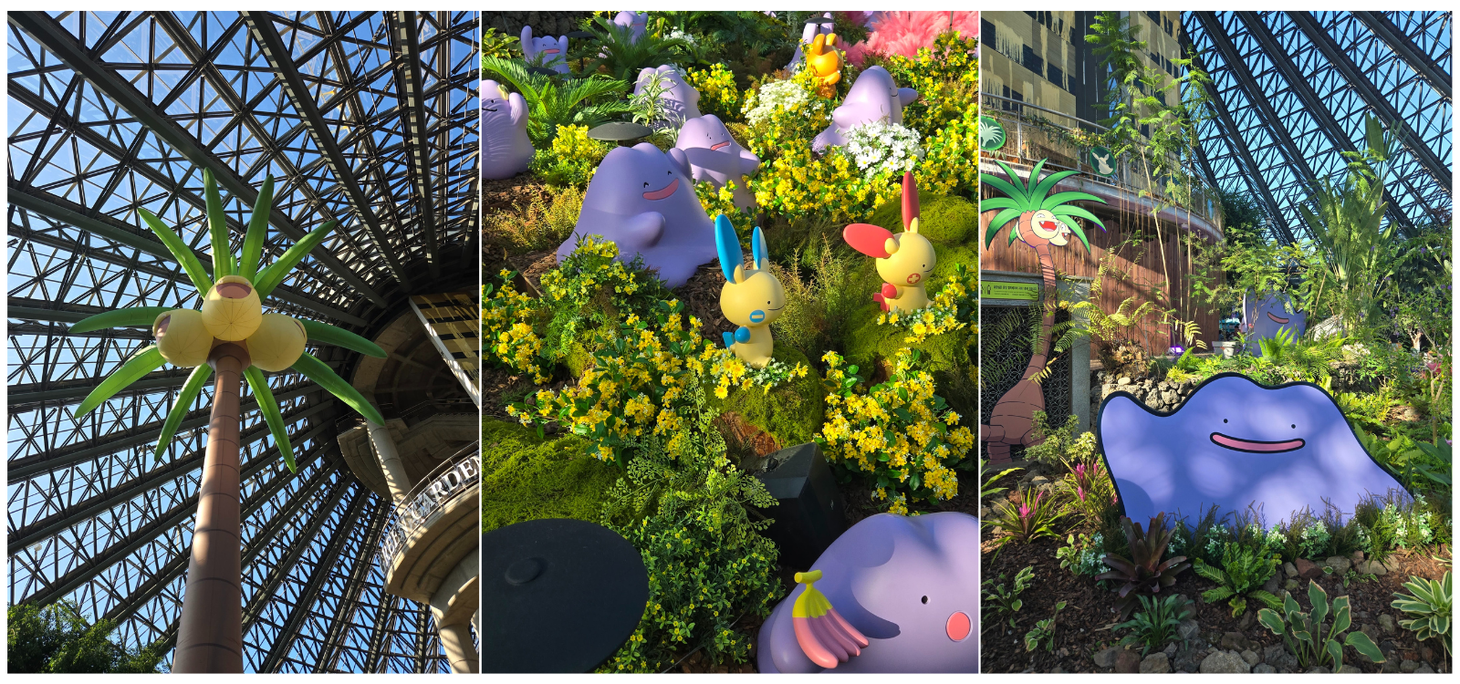 제주 여미지 포켓몬 그린가든 원더 아일랜드 총정리