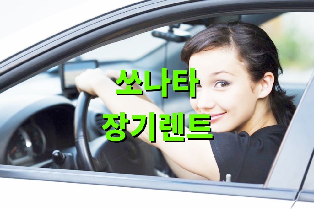 쏘나타 장기렌트 카 업체