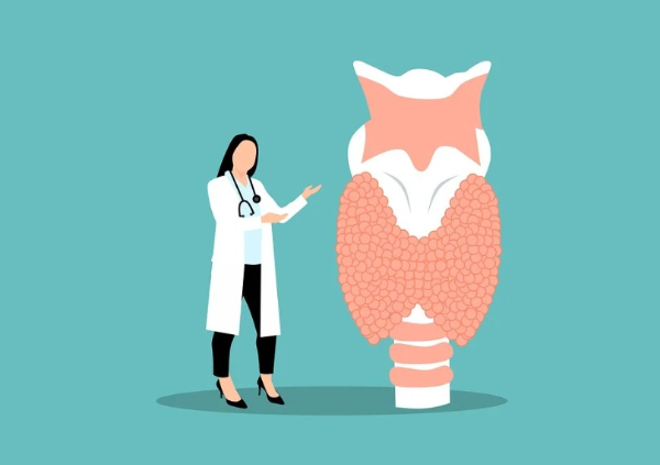 갑상선암의 종류와 원인 수술과 예방에 대하여