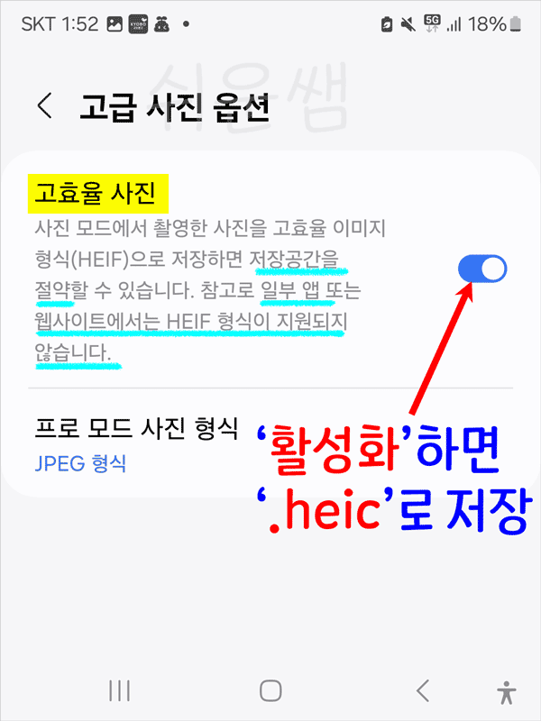고효율 사진형식 선택
