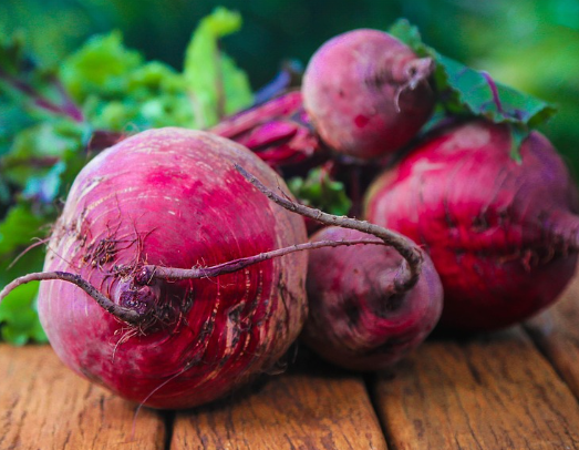 운동능력 향상과 혈압 감소에 도움이돼는 비트