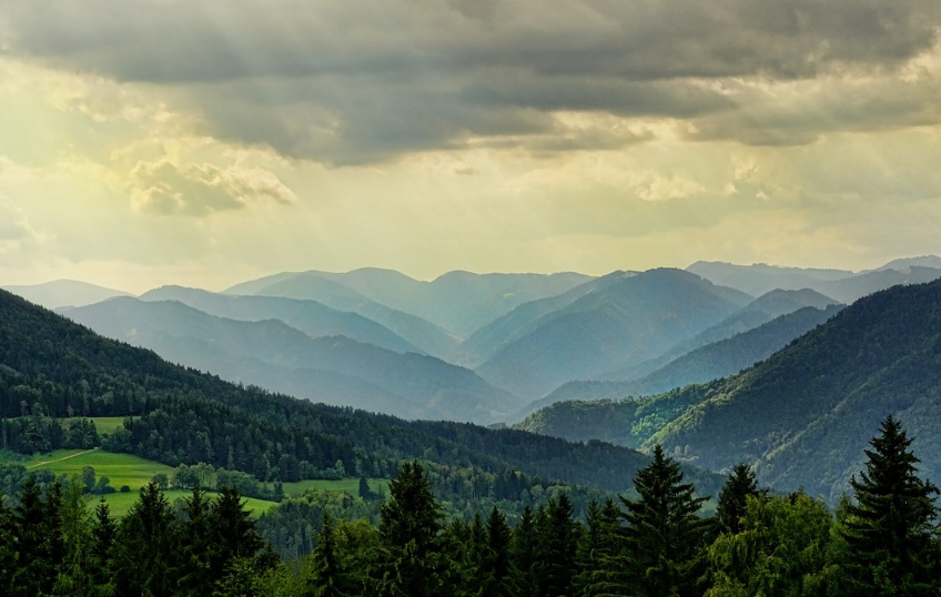 달음삼자연휴양림 특징과 시설안내