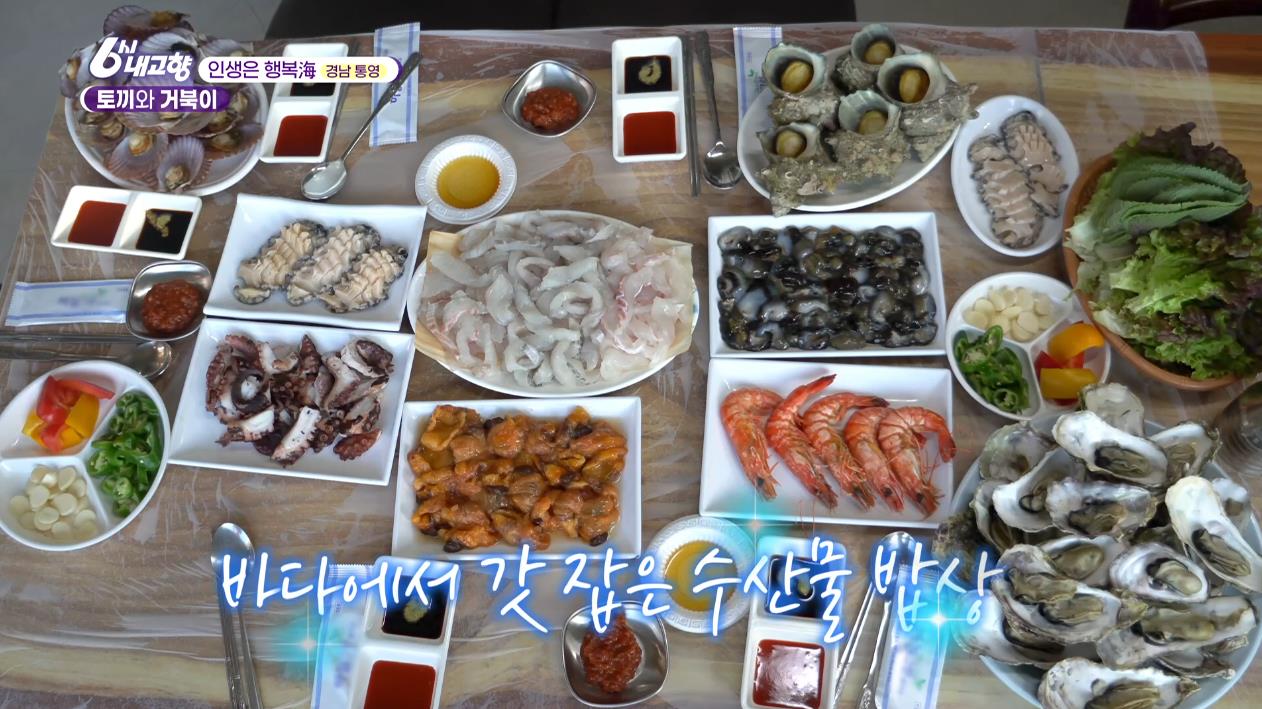 6시내고향 인생은행복해 통영 연대도 1박3식 펜션 직접 잡은 해산물 밥상