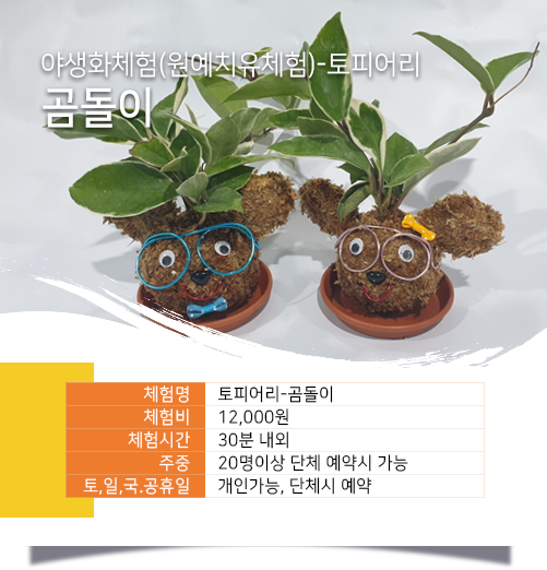 토피어리 - 곰돌이