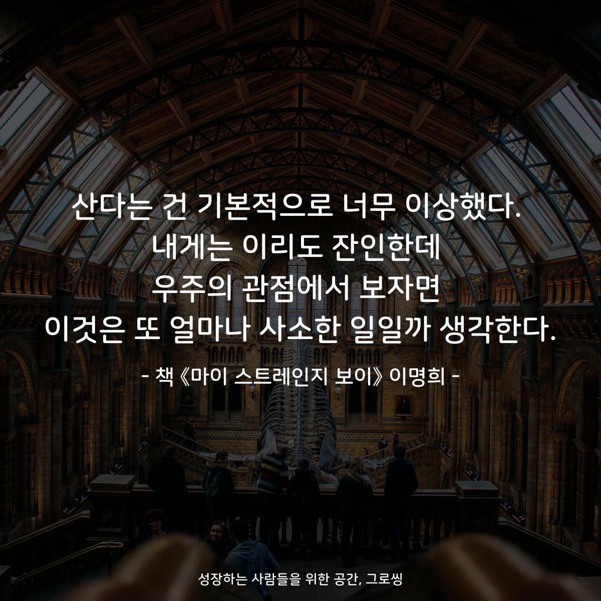 산다는 건 기본적으로 너무 이상했다.
내게는 이리도 잔인한데
우주의 관점에서 보자면
이것은 또 얼마나 사소한 일일까 생각한다.