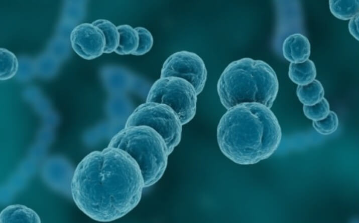 림프종 골수전이 치료법