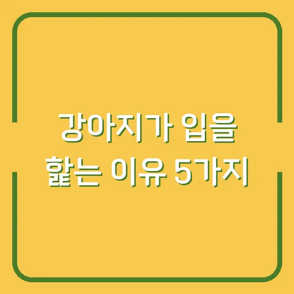 강아지가 입을 핥는 이유 5가지