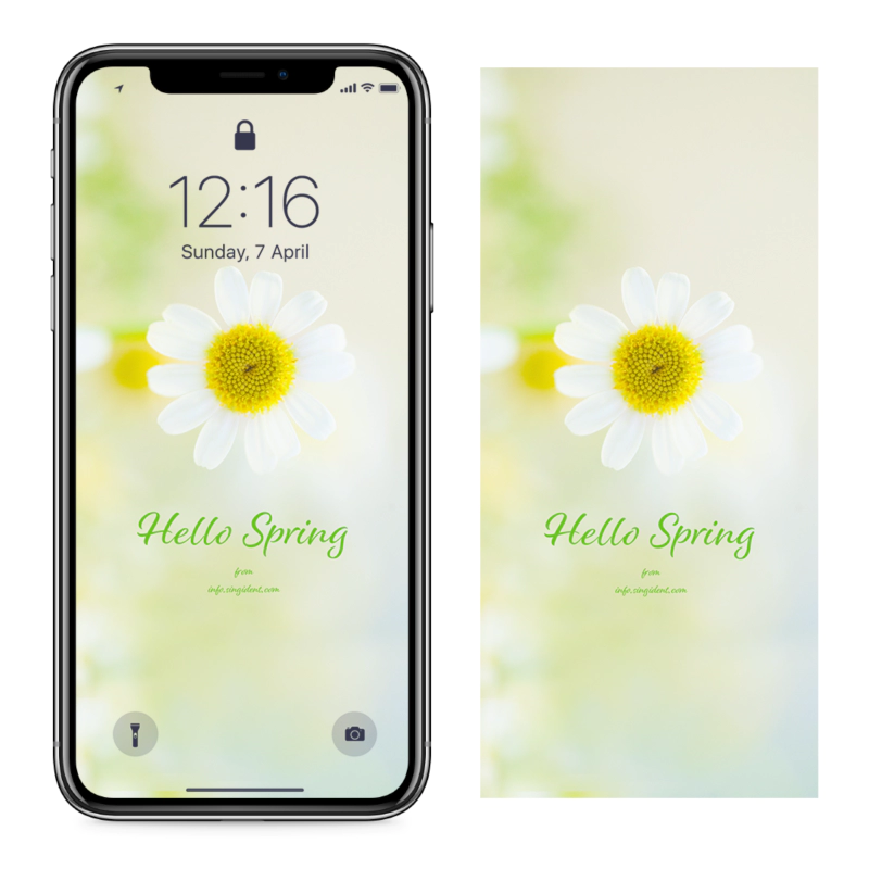 01 봄꽃 C - Hello Spring 아이폰꽃배경화면