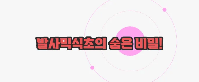 발사믹식초 효능 궁금한 점, 풀어보죠