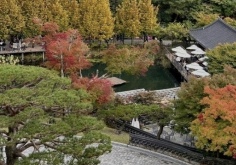 화담숲 예약하기 홈페이지 입장료 주변 맛집 모노레일 단풍 절정시기 꿀팁