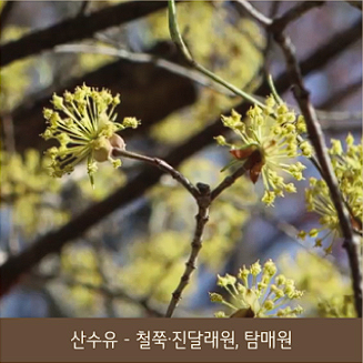 화담숲 예약 모노레일