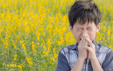 비염 뿌리를 뽑으려면