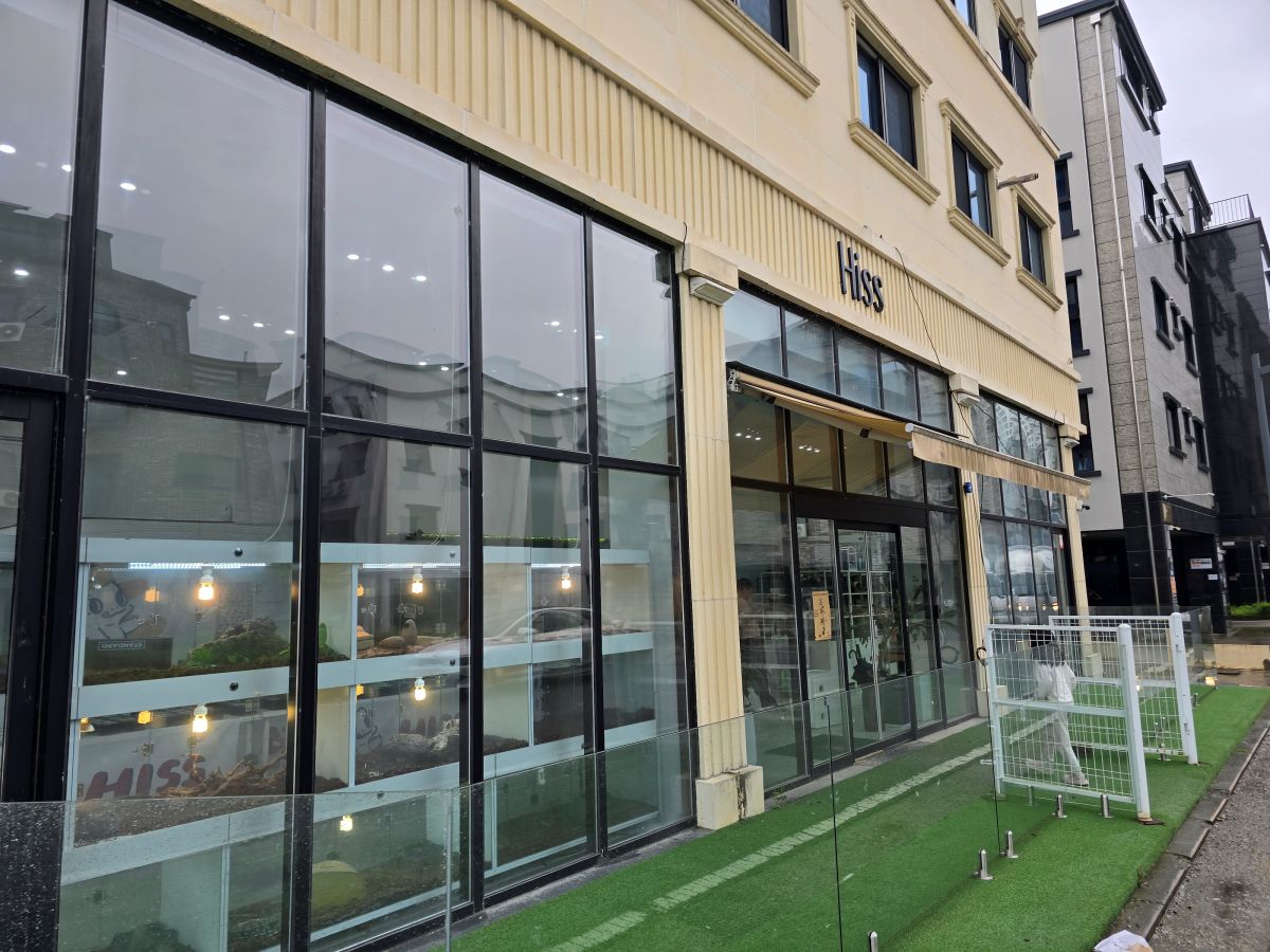 대전-도마뱀-가게-Hiss