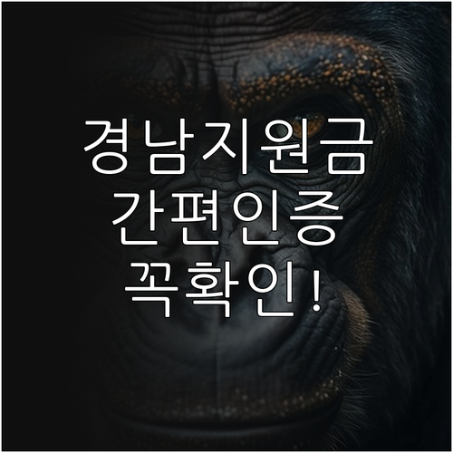 경남 생활지원금 간편인증 조회 절차와..