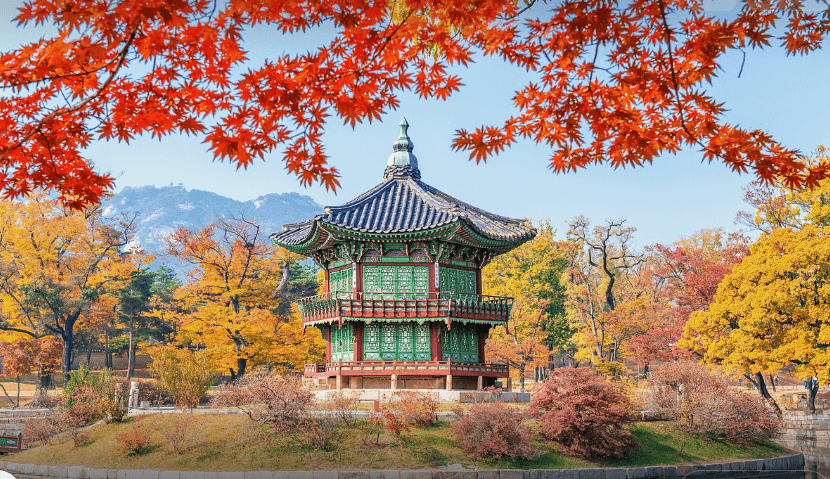 창덕궁 달빛