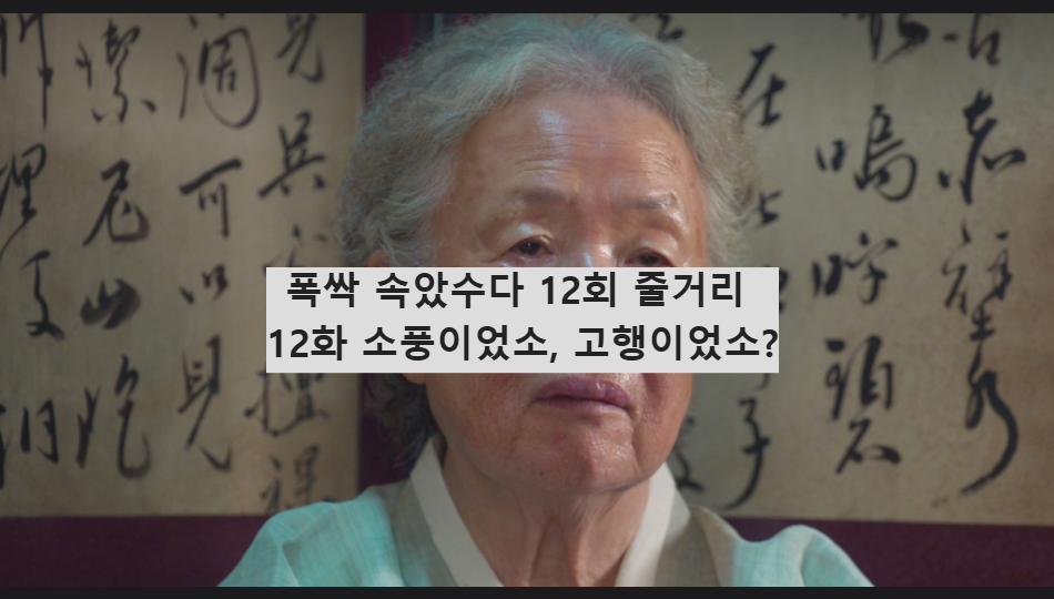 폭싹 속았수다 12회 줄거리