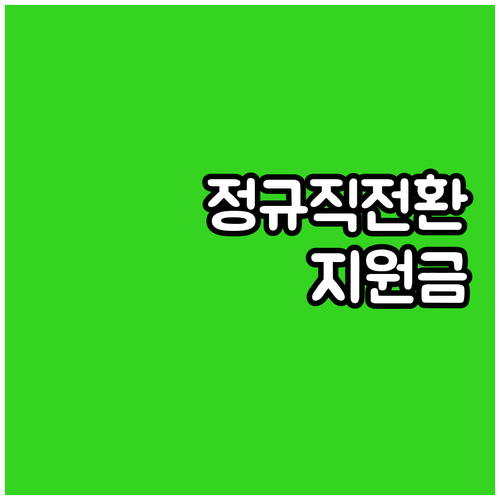 2025년 체크! 고용안정장려금(정규..