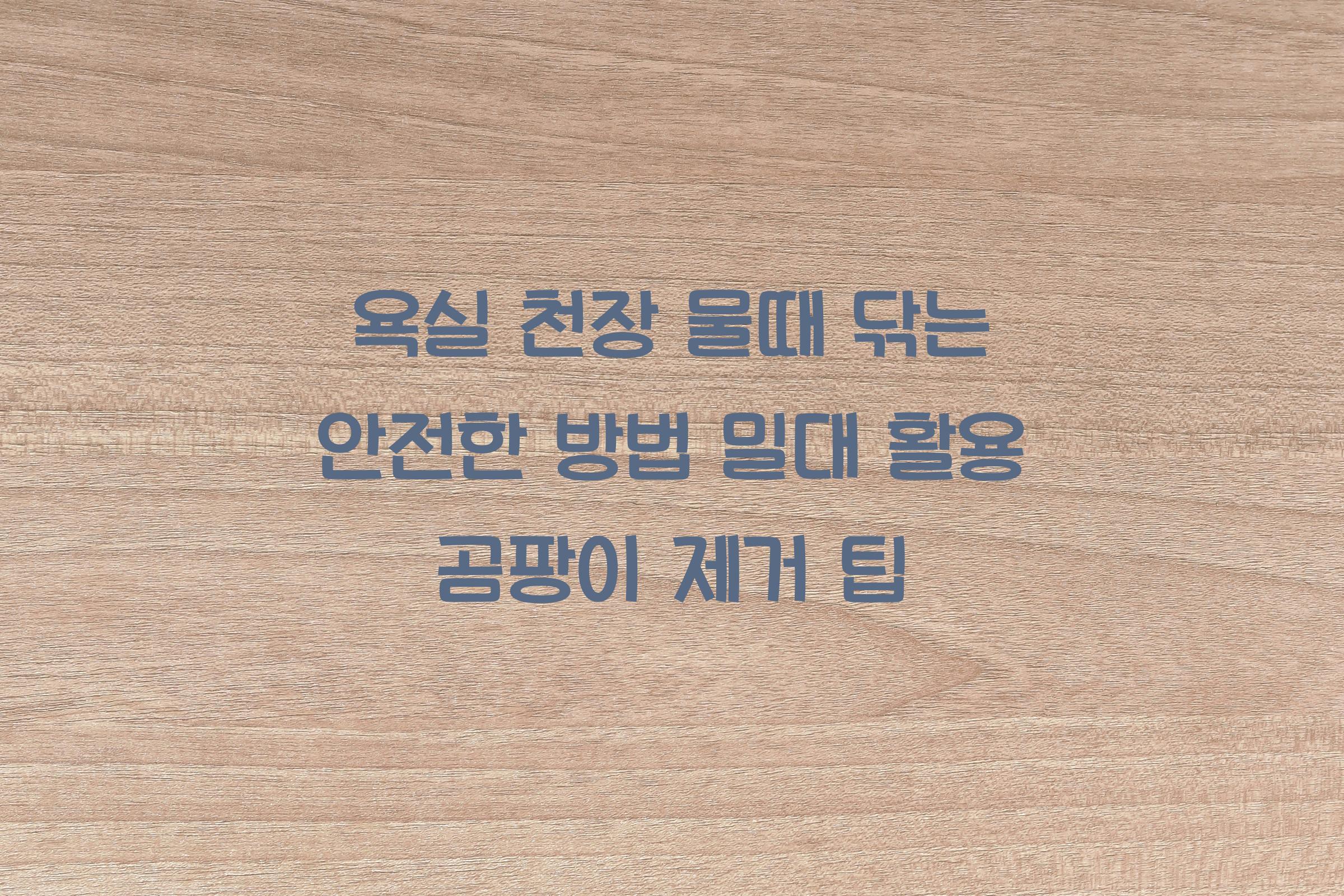 욕실 천장 물때 닦는 안전한 방법