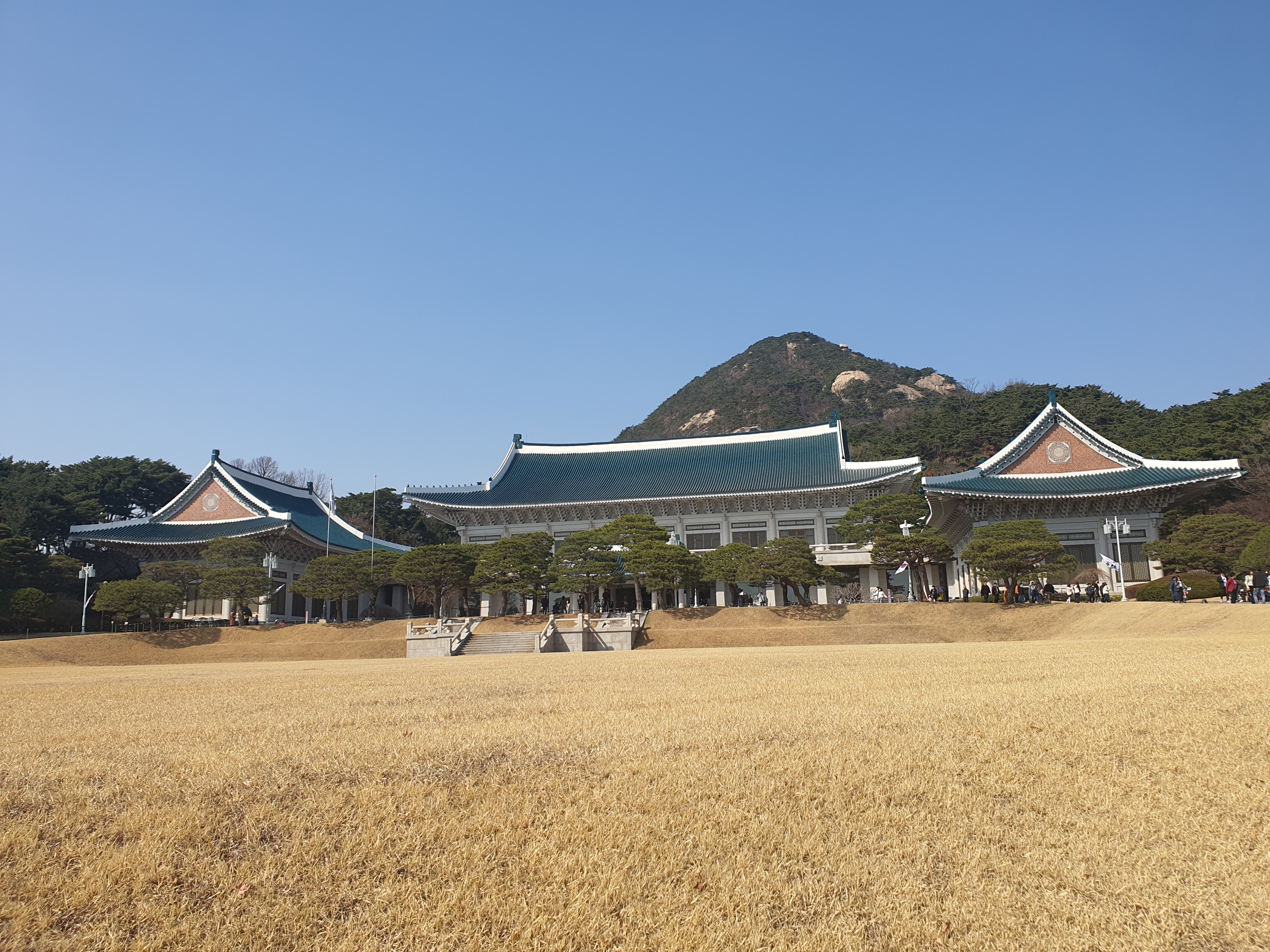 청와대