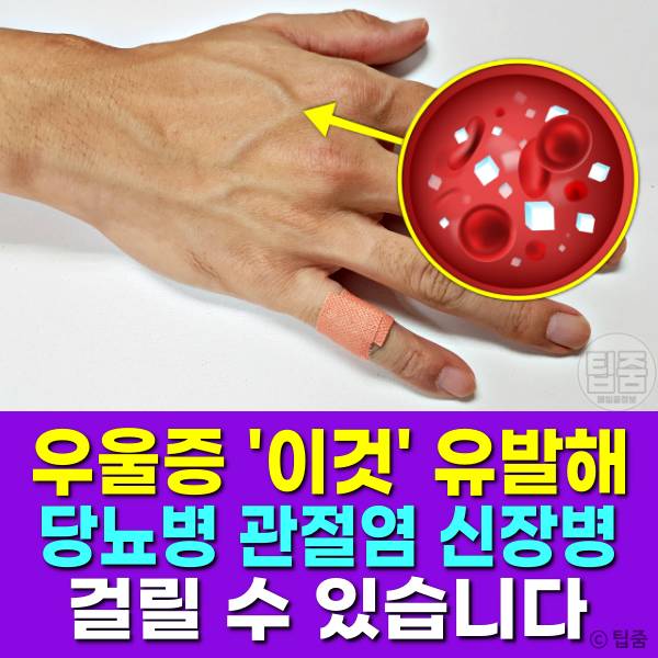 우울증 증상 당뇨병 관절염 신장병,팁줌
