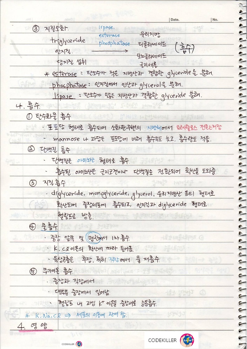 탄수화물흡수, 단백질흡수,지질흡수,물흡수,무기이온흡수