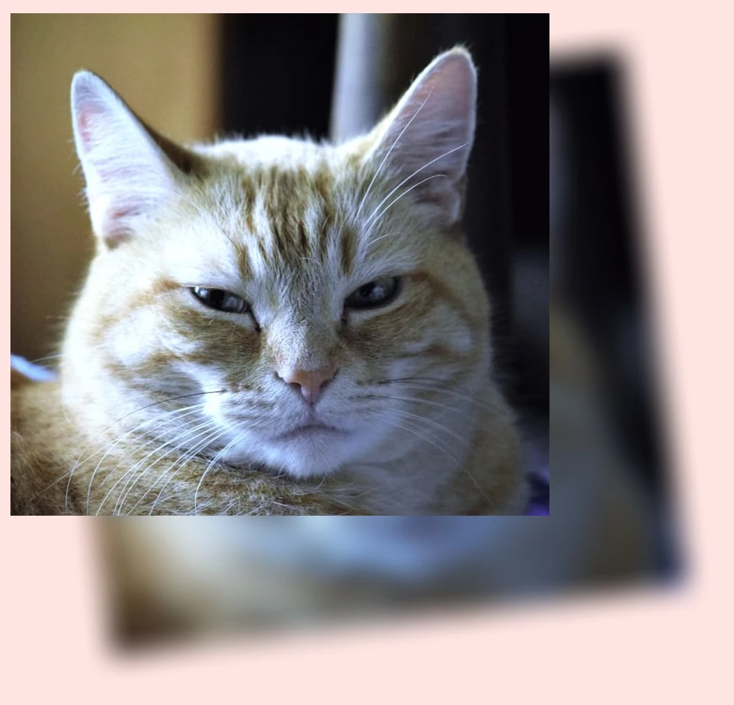 감정평가사_2_subsection