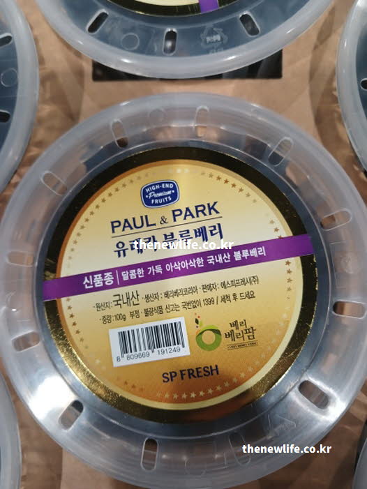 신장에 좋은 음식 과일 블루베리 실사진