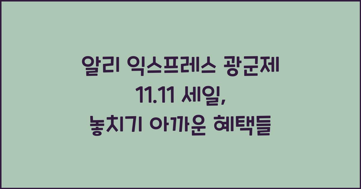 알리 익스프레스 광군제 11.11 세일