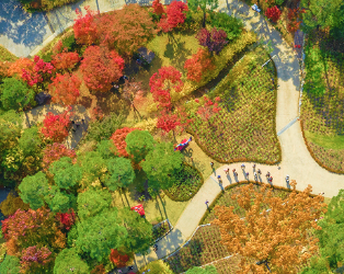 화담숲-예약-방법-2025년-최신-입장료-완벽-가이드