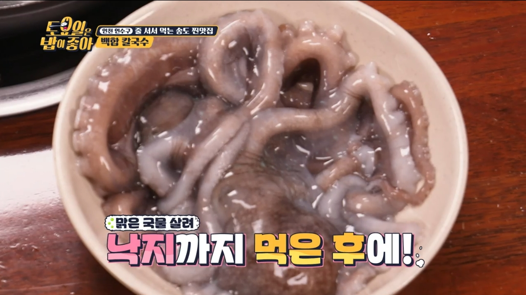 낙지