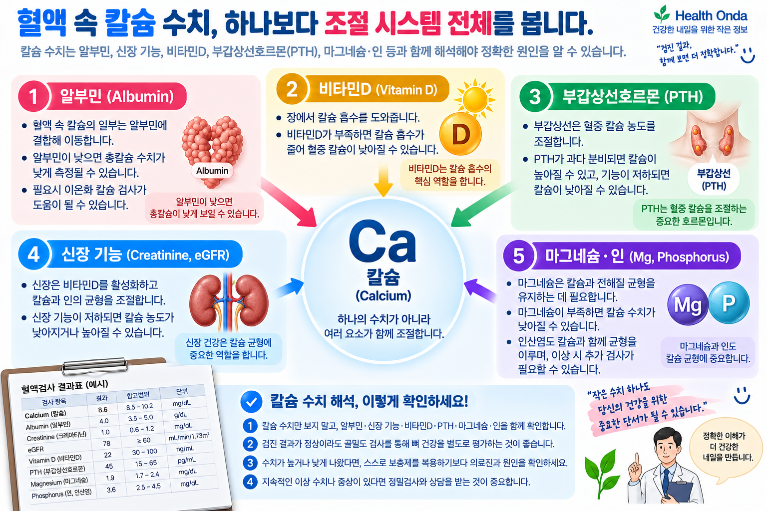 칼슘 결과와 함께 확인할 검사 항목을 나타낸 삽화