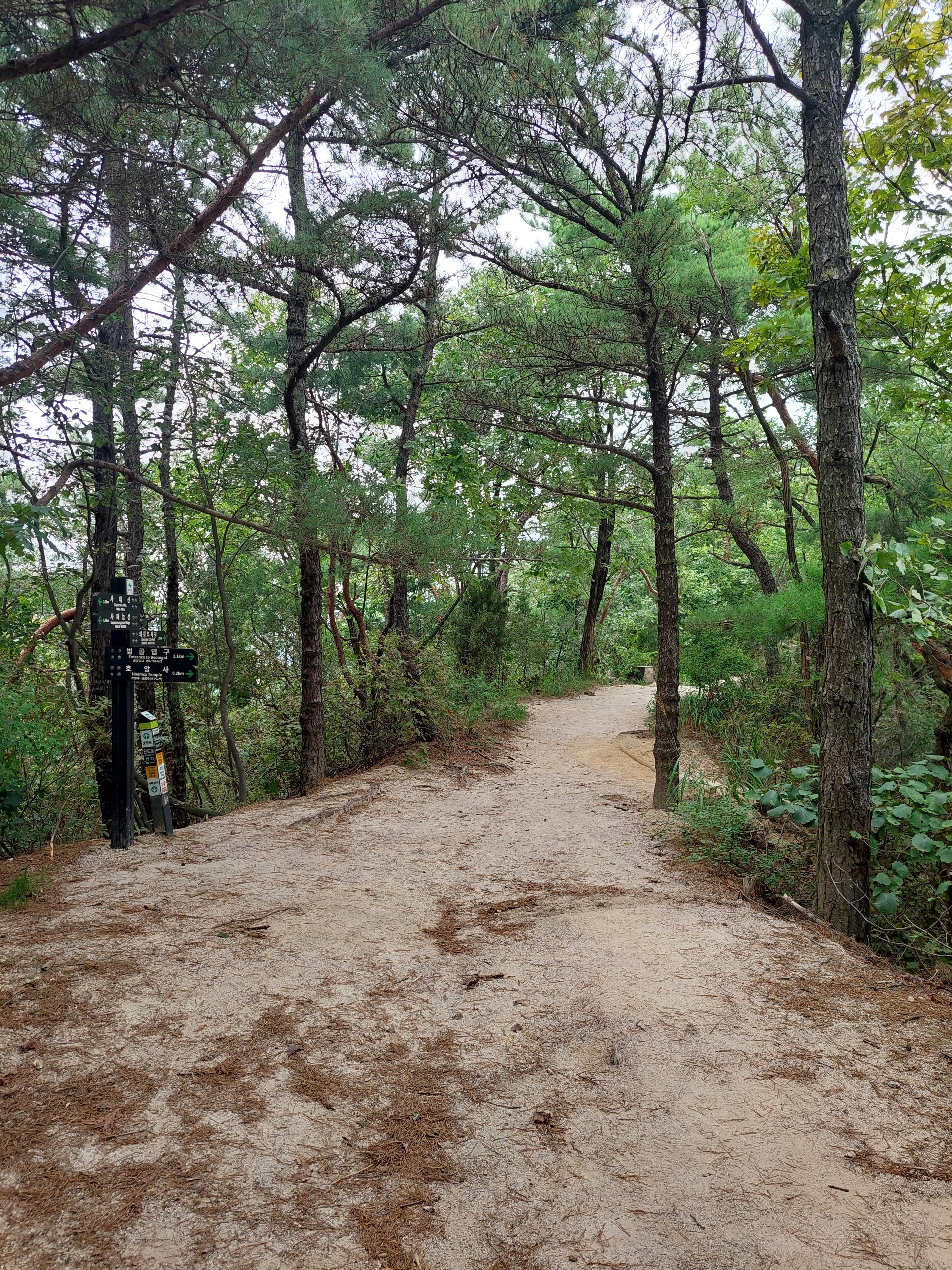 사패산