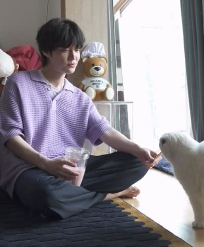 안재현 나혼산 고양이 반려묘 안주 일상 근황