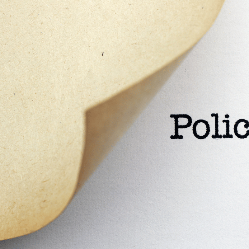 소상공인 정책자금