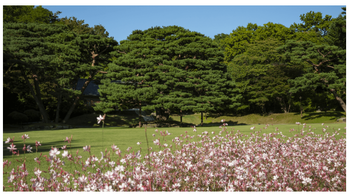 녹지원(대통령의 산책길)