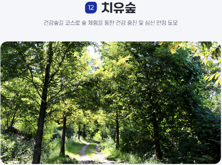 물맑음 수목원