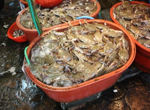 2024 화수부두 축제 기본일정과 프로그램 정리 나태주 김혜연 김나희 강원 출연