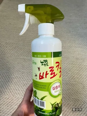 화분 응애 방제 초기발견 잎뒷면확인 샤워식세척 비누물활용 팁_13