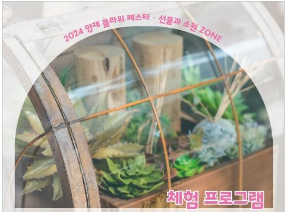 내 방의 작은 정원