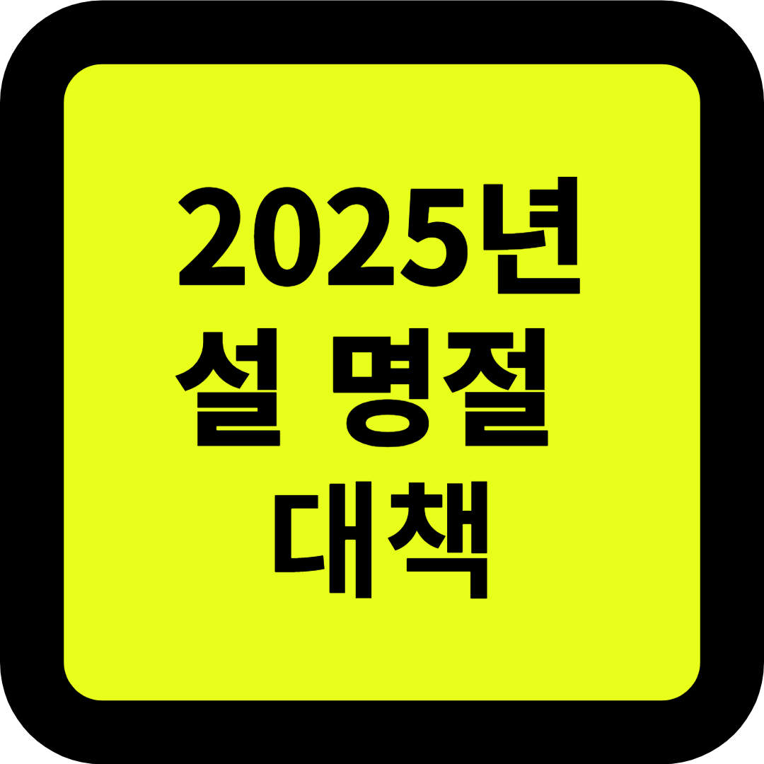 2025년 설 명절 대책